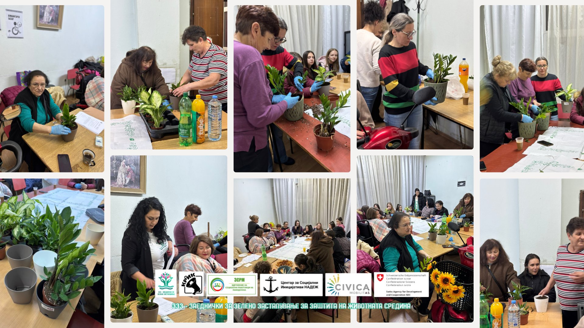 🌱 Засади надеж – засади иднина! 💚